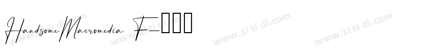 HandsomeMacromedia F字体转换